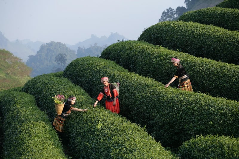 Quantum Leap Experiences