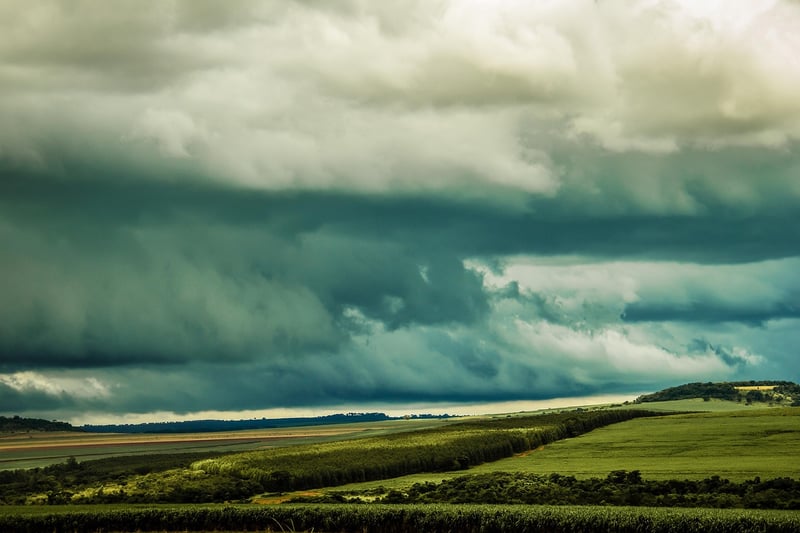 Temporal Distortion Theory